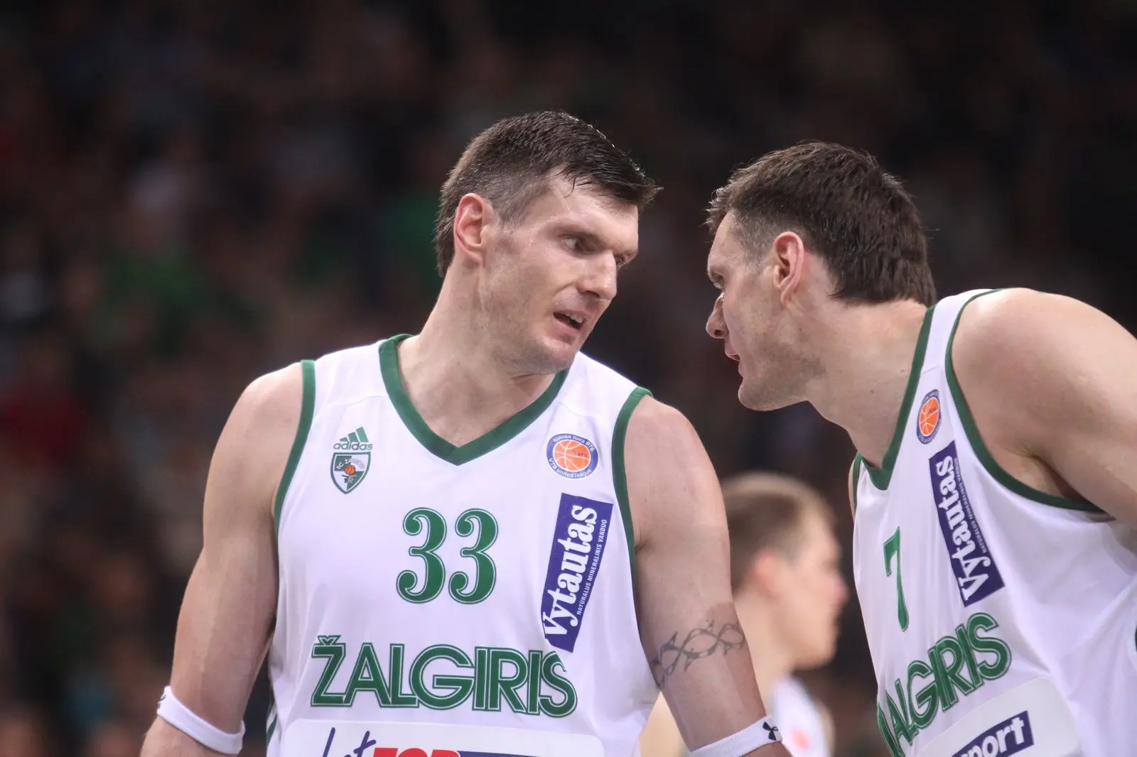 kauno algiris nizhny novgorod rungtyns algirio arenoje 04