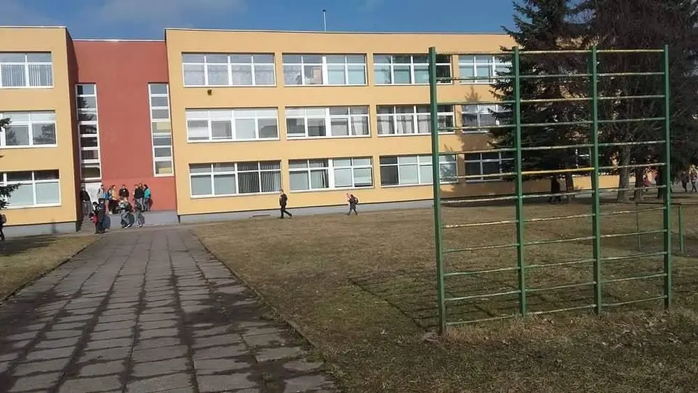 kauno martyno mavydo mokykla