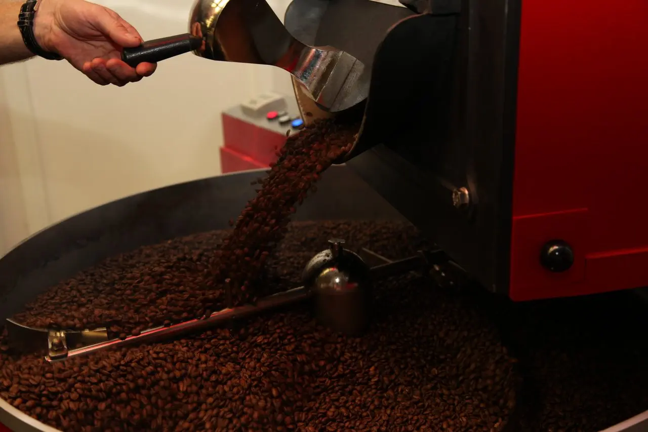 kava 07