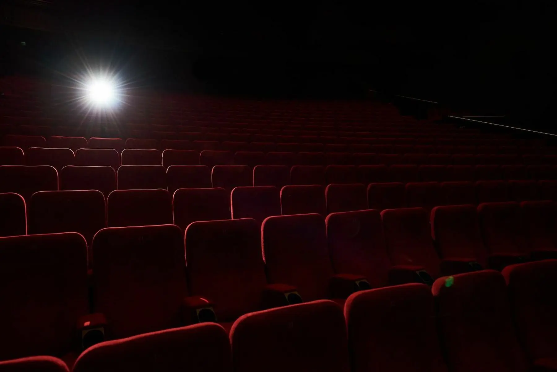 kino pavasaris 2020 nuotr gediminas grazys