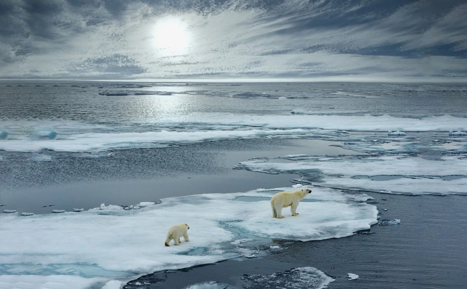 klimato kaita pasaulyje vyrai vaiksto vietove kuri kazkada buvo oroumi 81039197