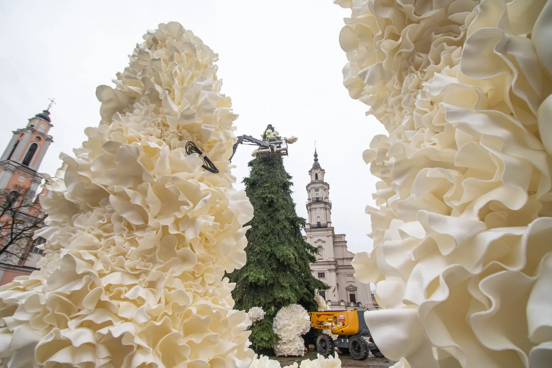 kvk 3686