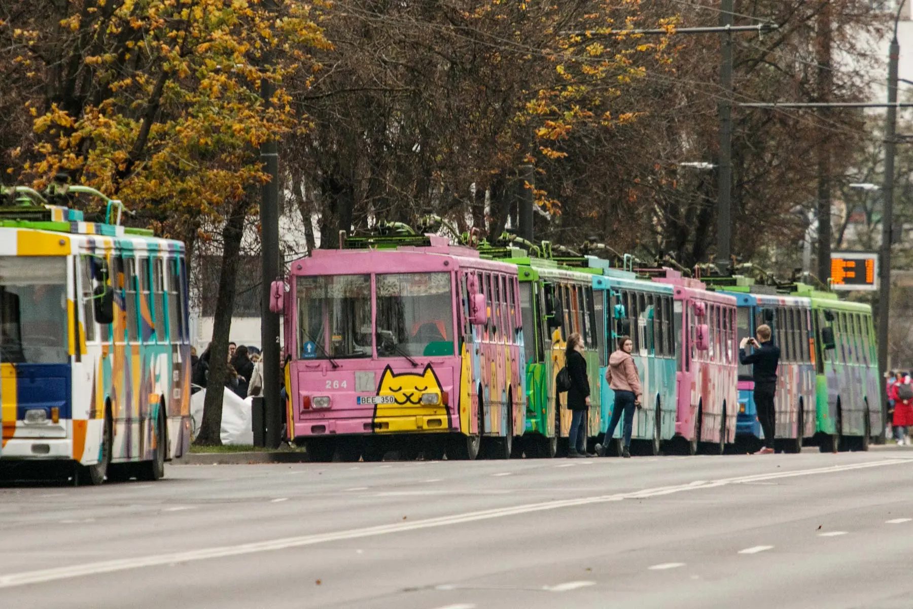 kvk 6841