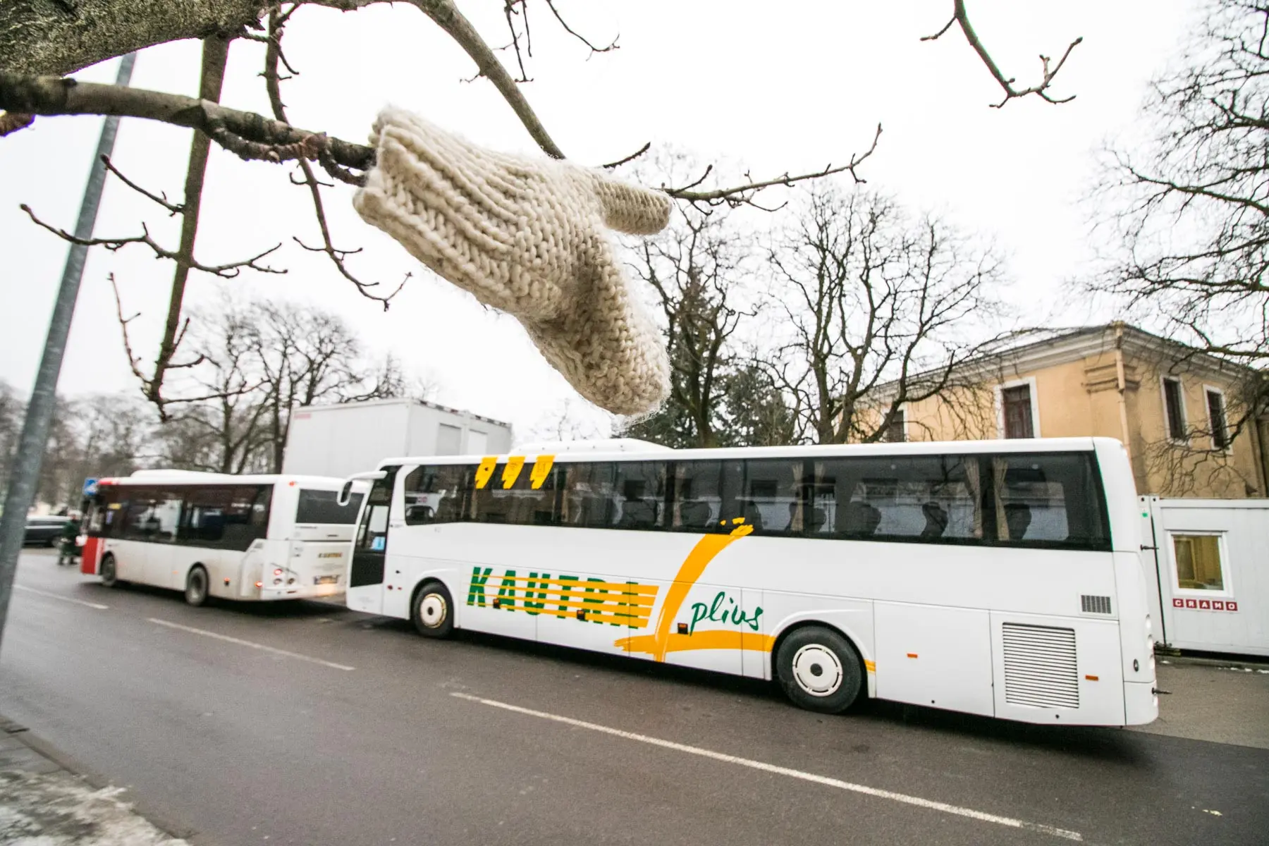 kvk 7365