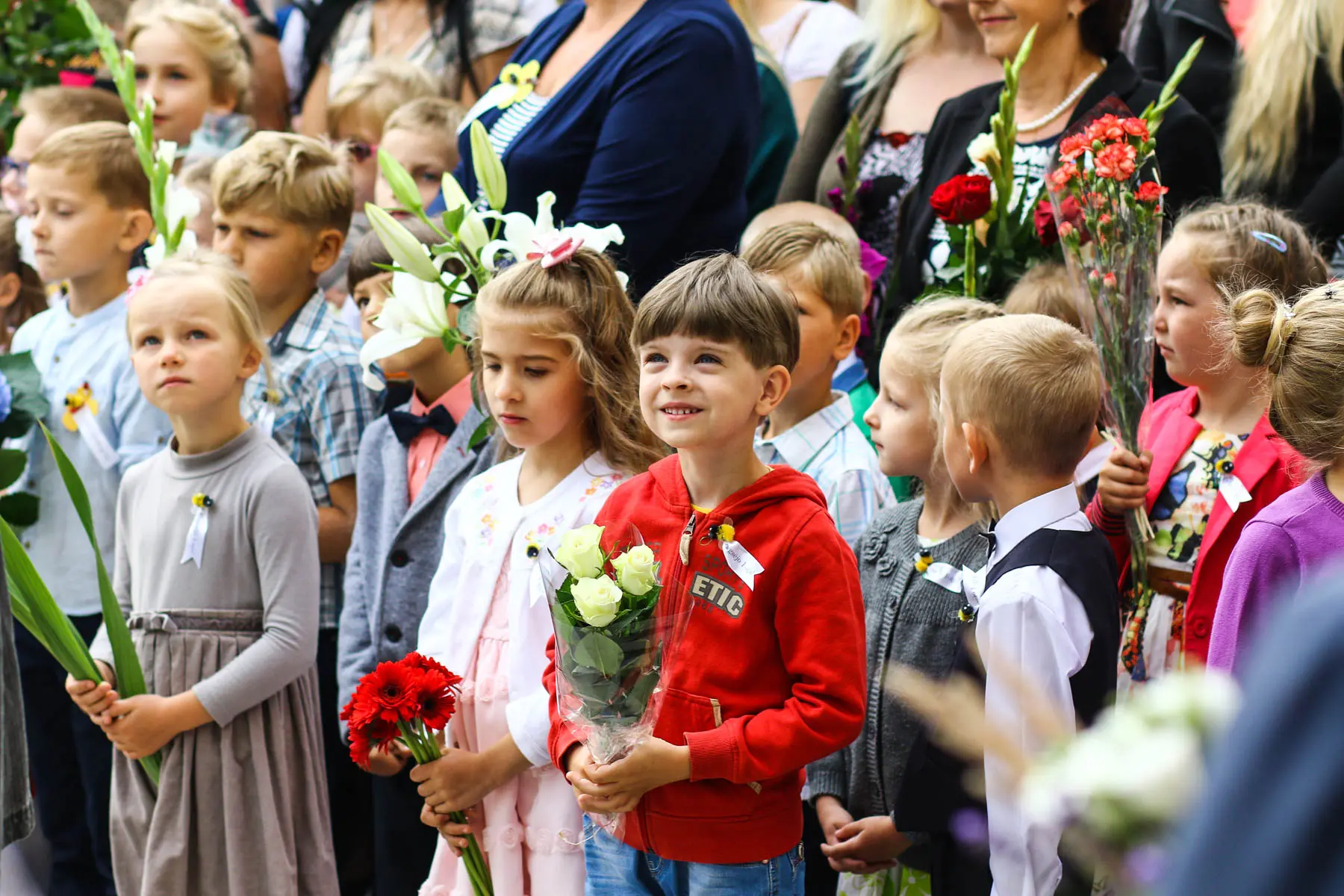 kvk 9593
