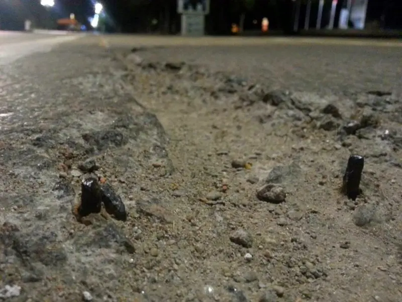 laisves alejos dviraciu takas 01