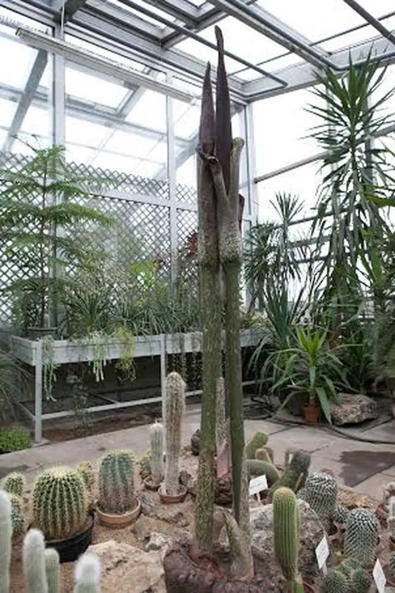lavongl1