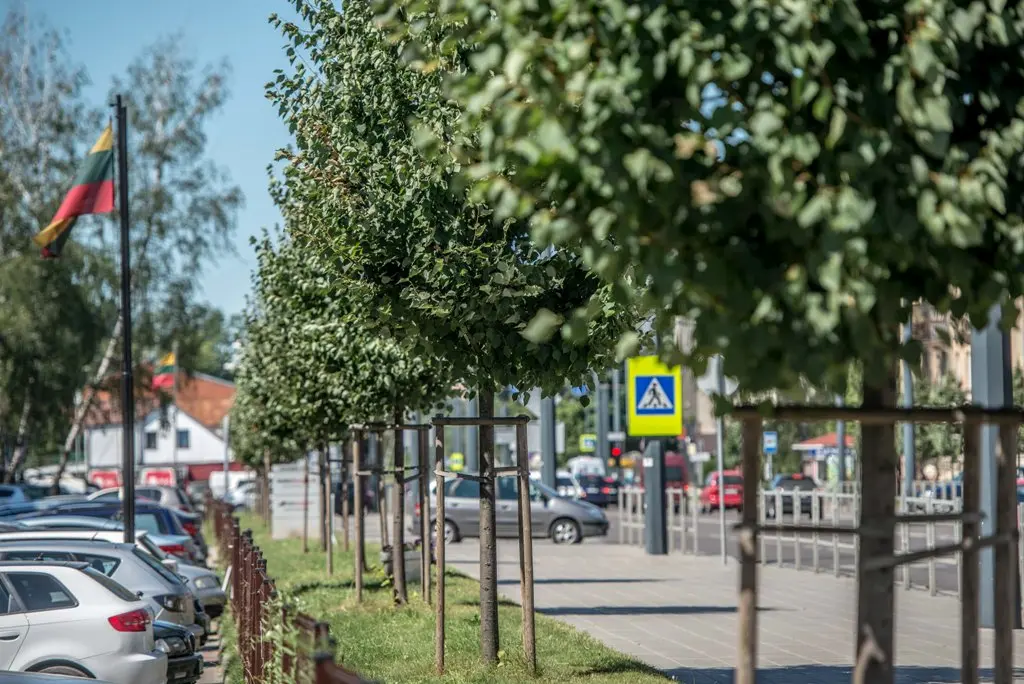 mediai juozapaviiaus gatvje 6