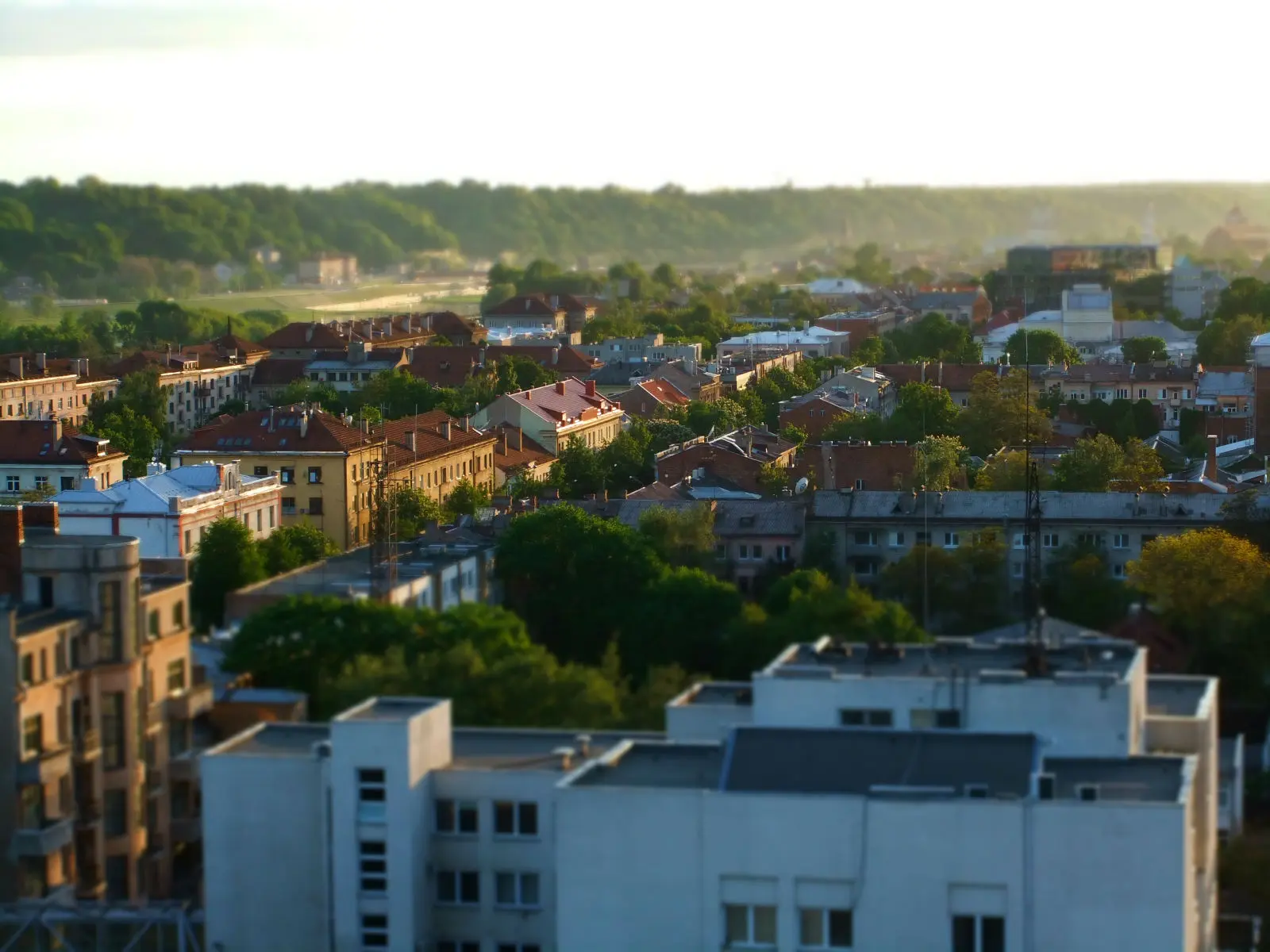 mikro kaunas