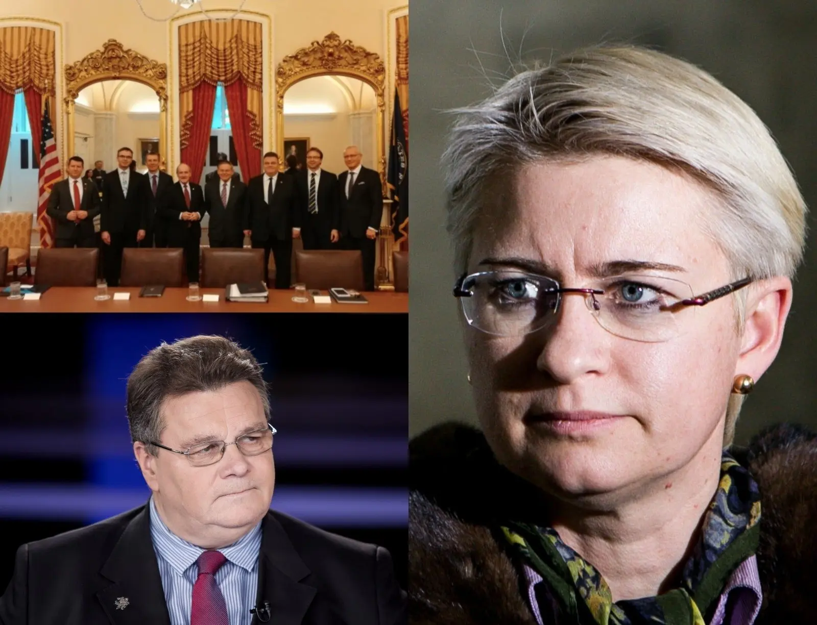neringa venckiene baltijos saliu vizitas jav linas linkevicius 80424707