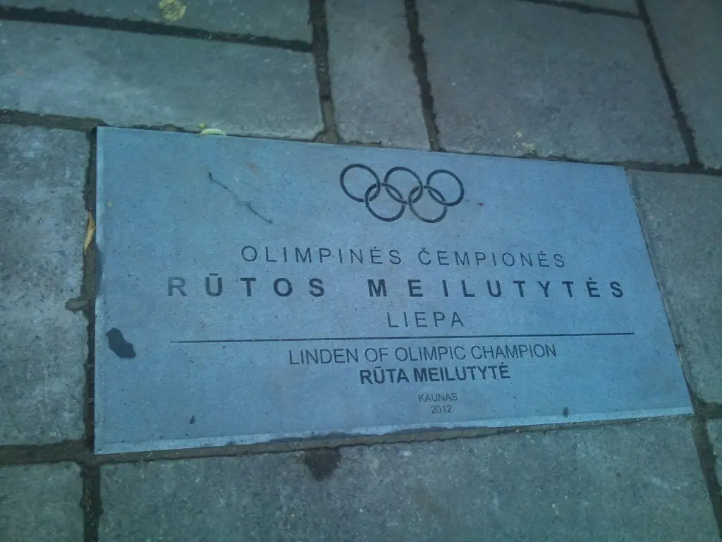 olympic fail