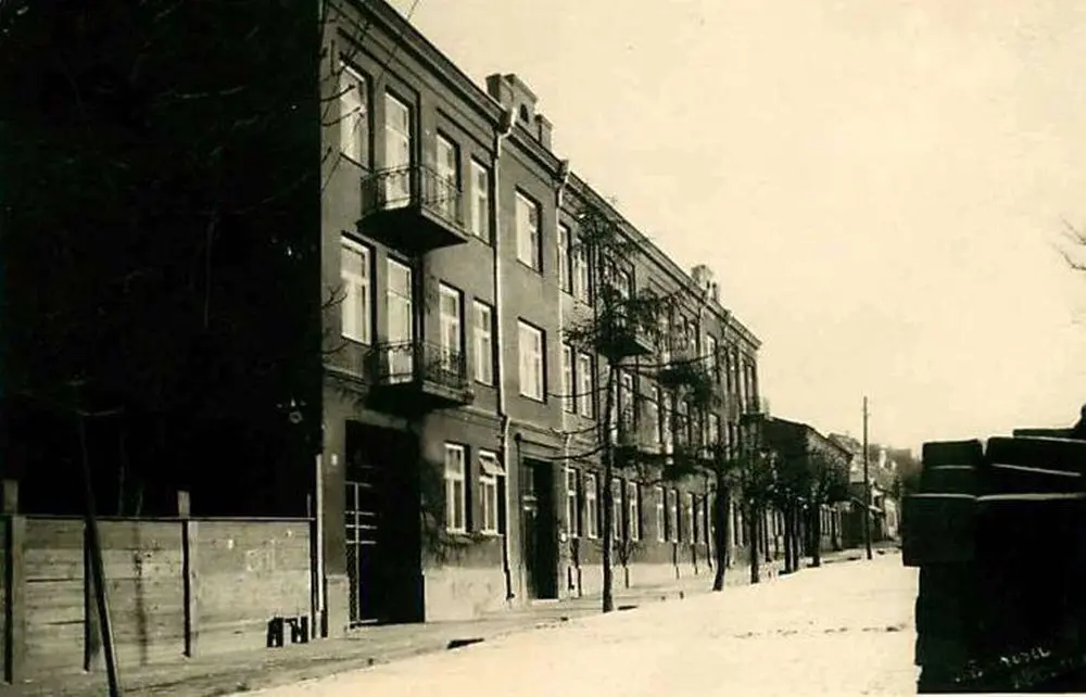 ozesk 01