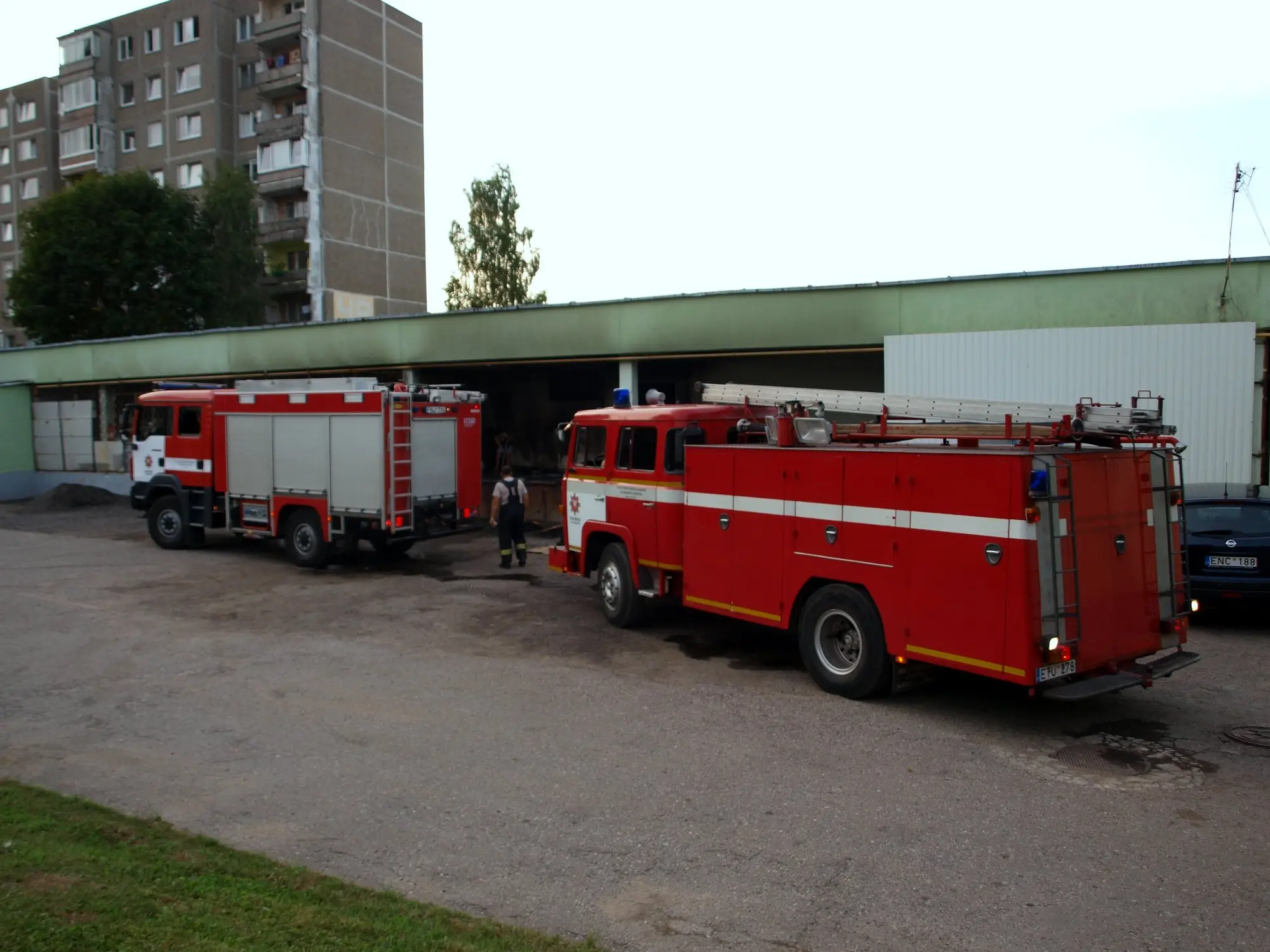 p8139477