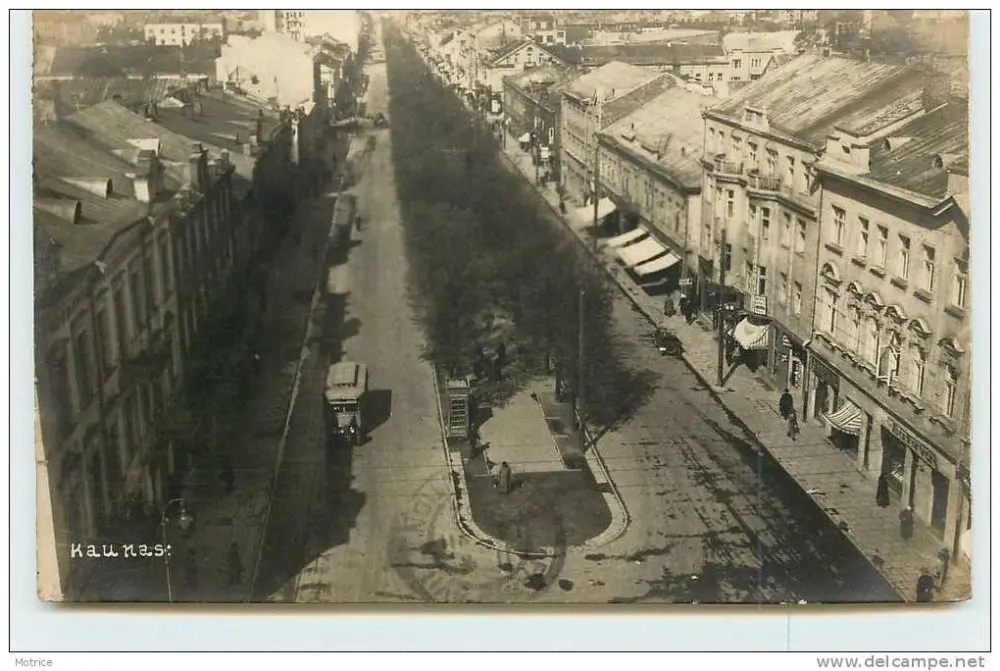 pilis kaunas 01