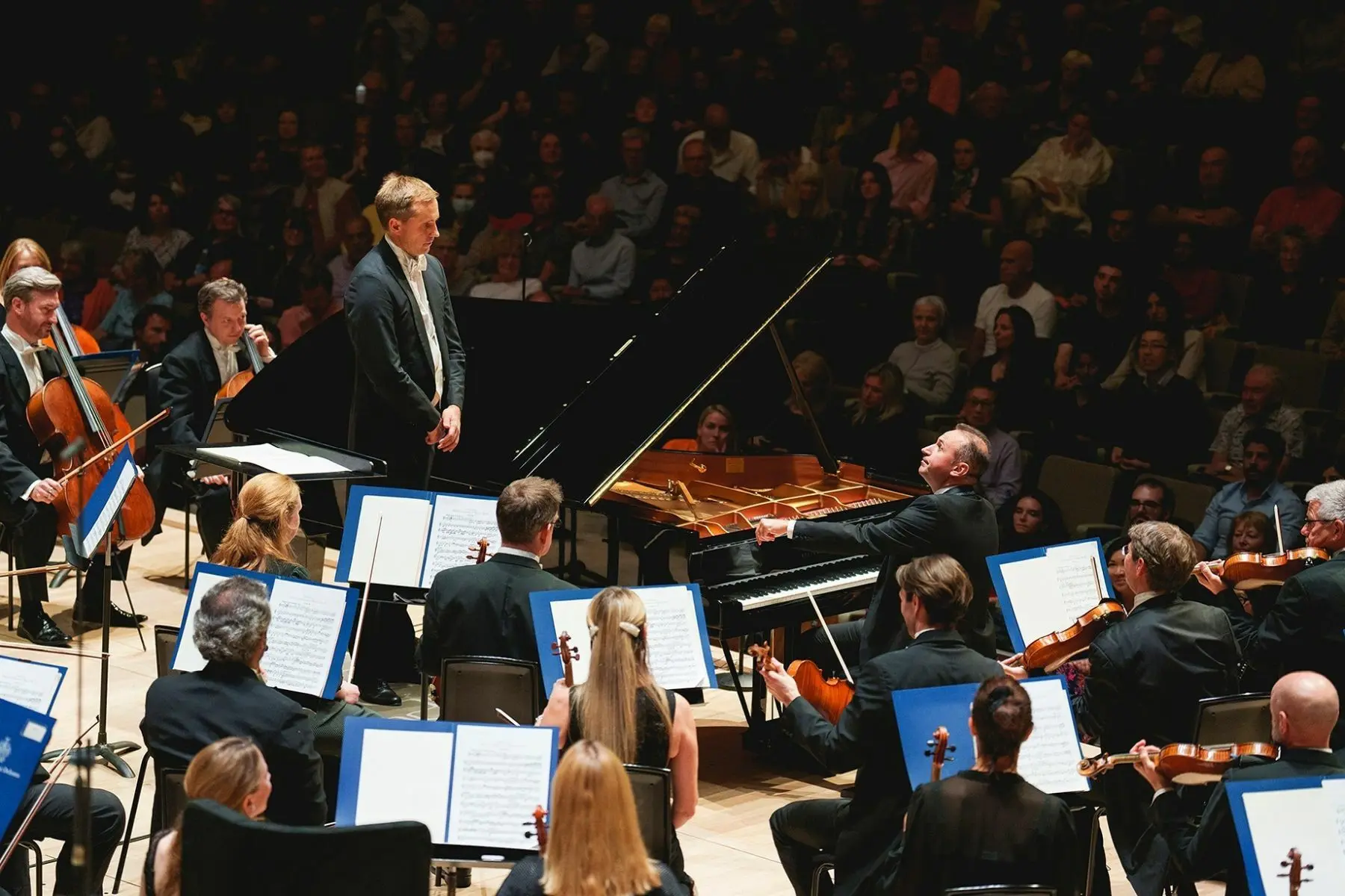 royal philharmonic orchestra