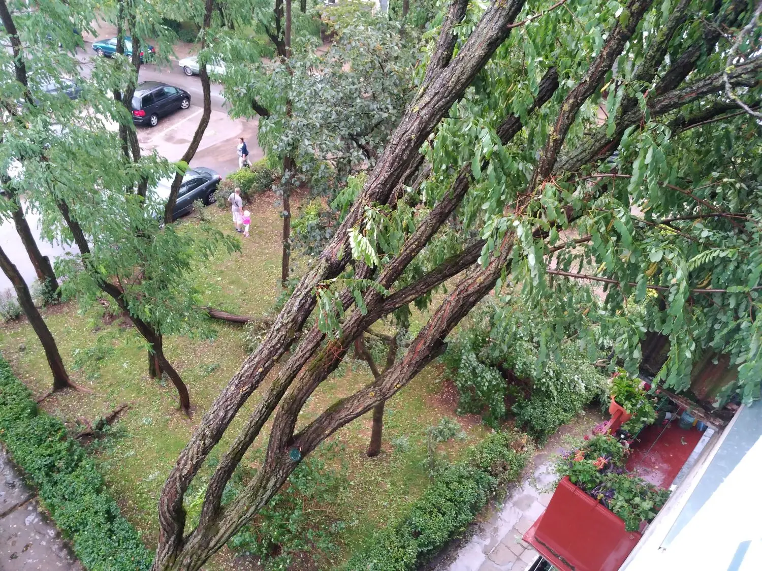 uvirtmed3