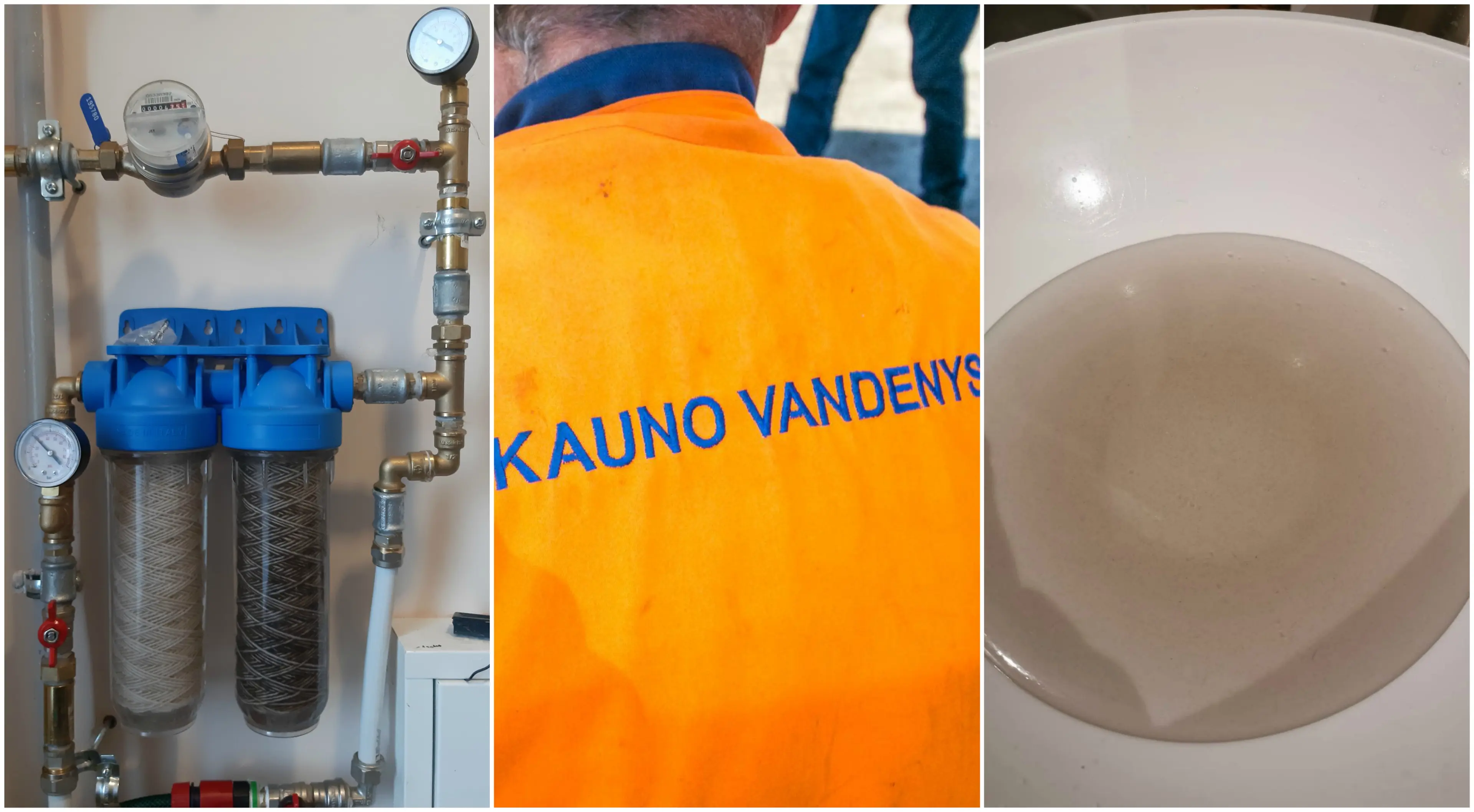 vandnenys