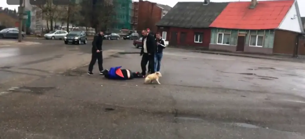 vid