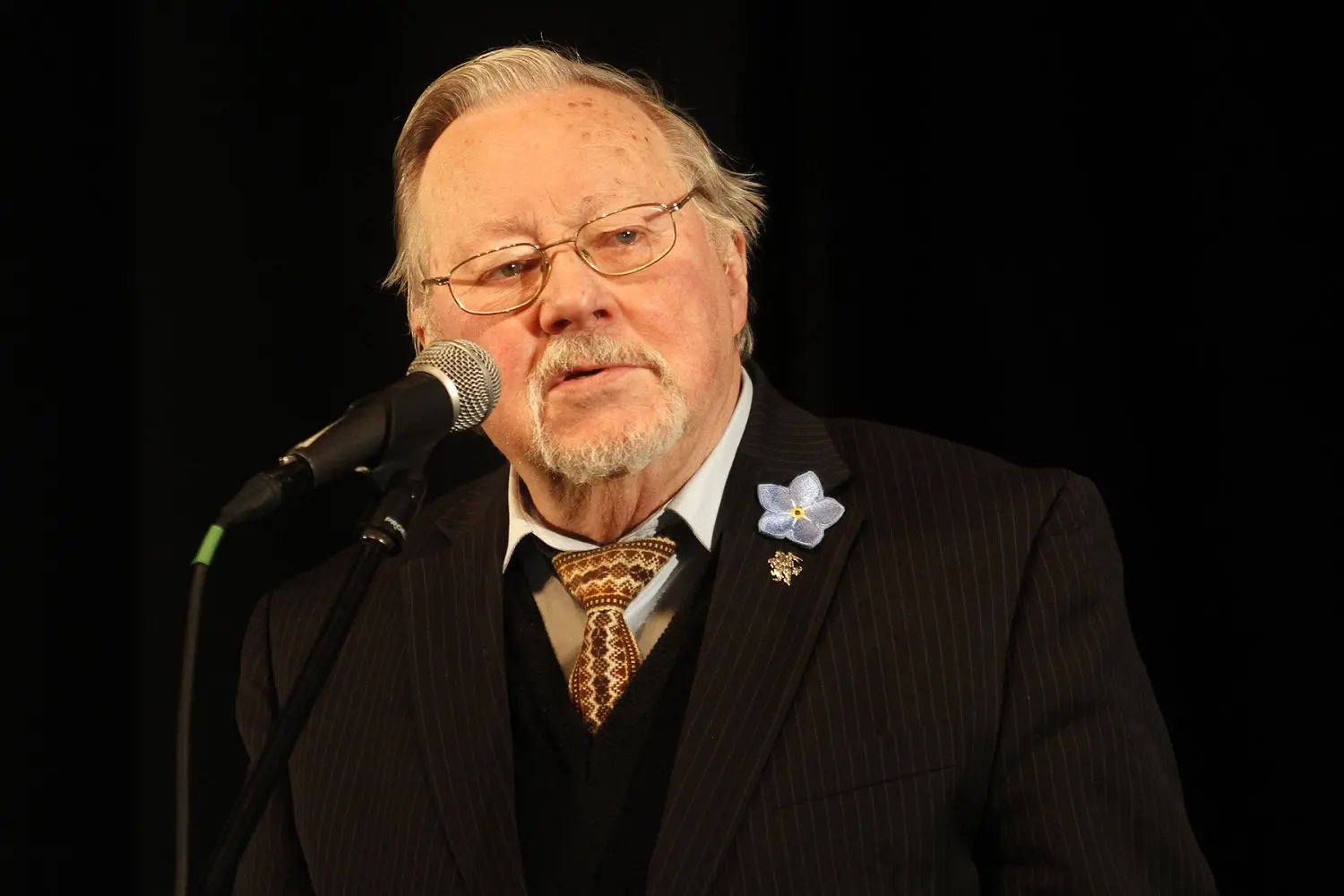 vlandsbergis 11