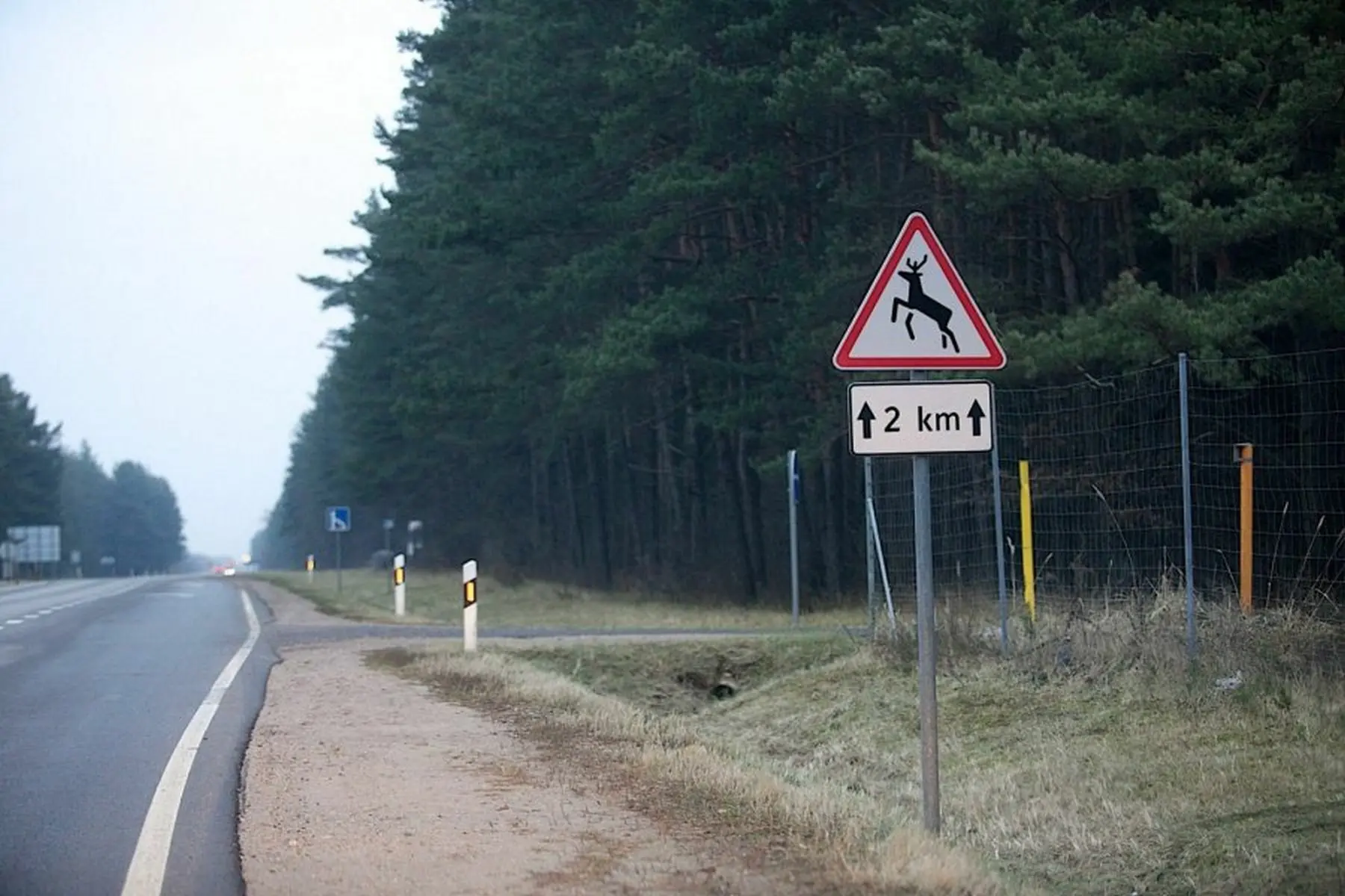 zenklas laukiniai gyvunai