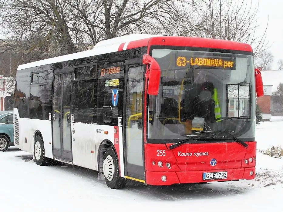 ziema autobusas babtuose