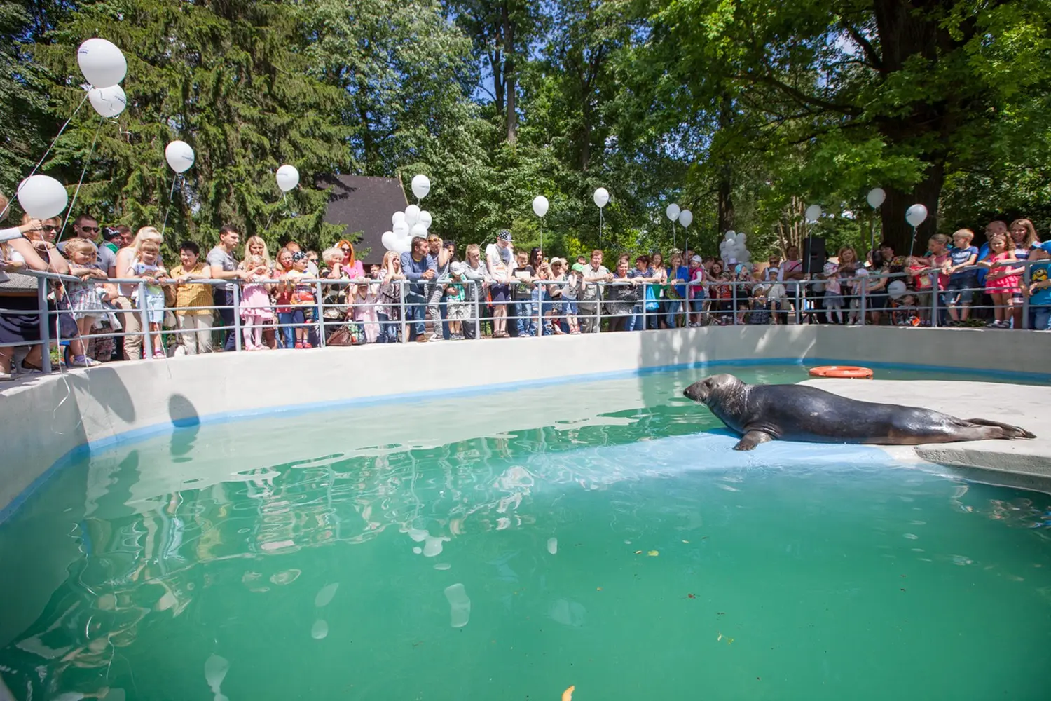 zoo ruonis 1