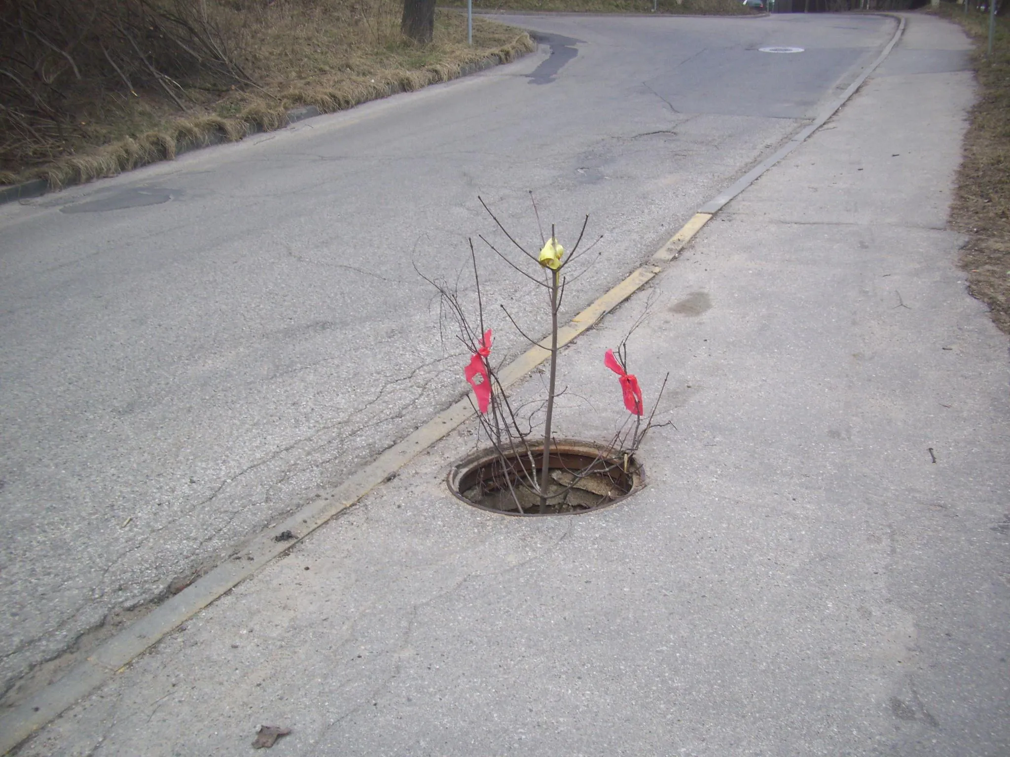 Gatvių būklė Kaune