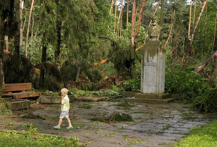 Panemunės šilas po audros