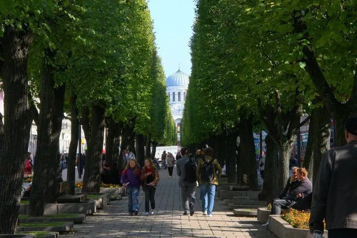 Kauno Laisvės alėja