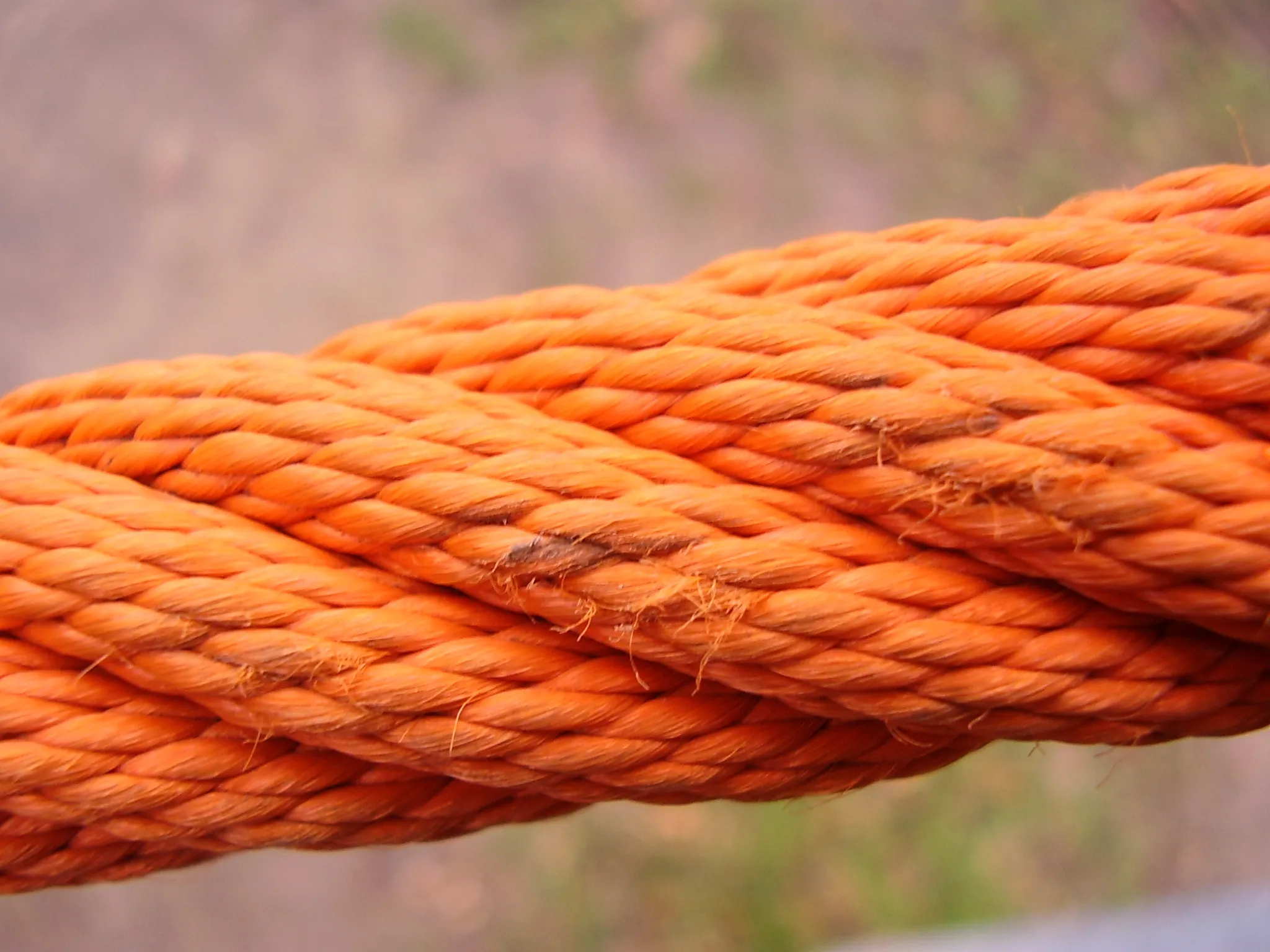 Virvė / Asociatyvi nuotr.