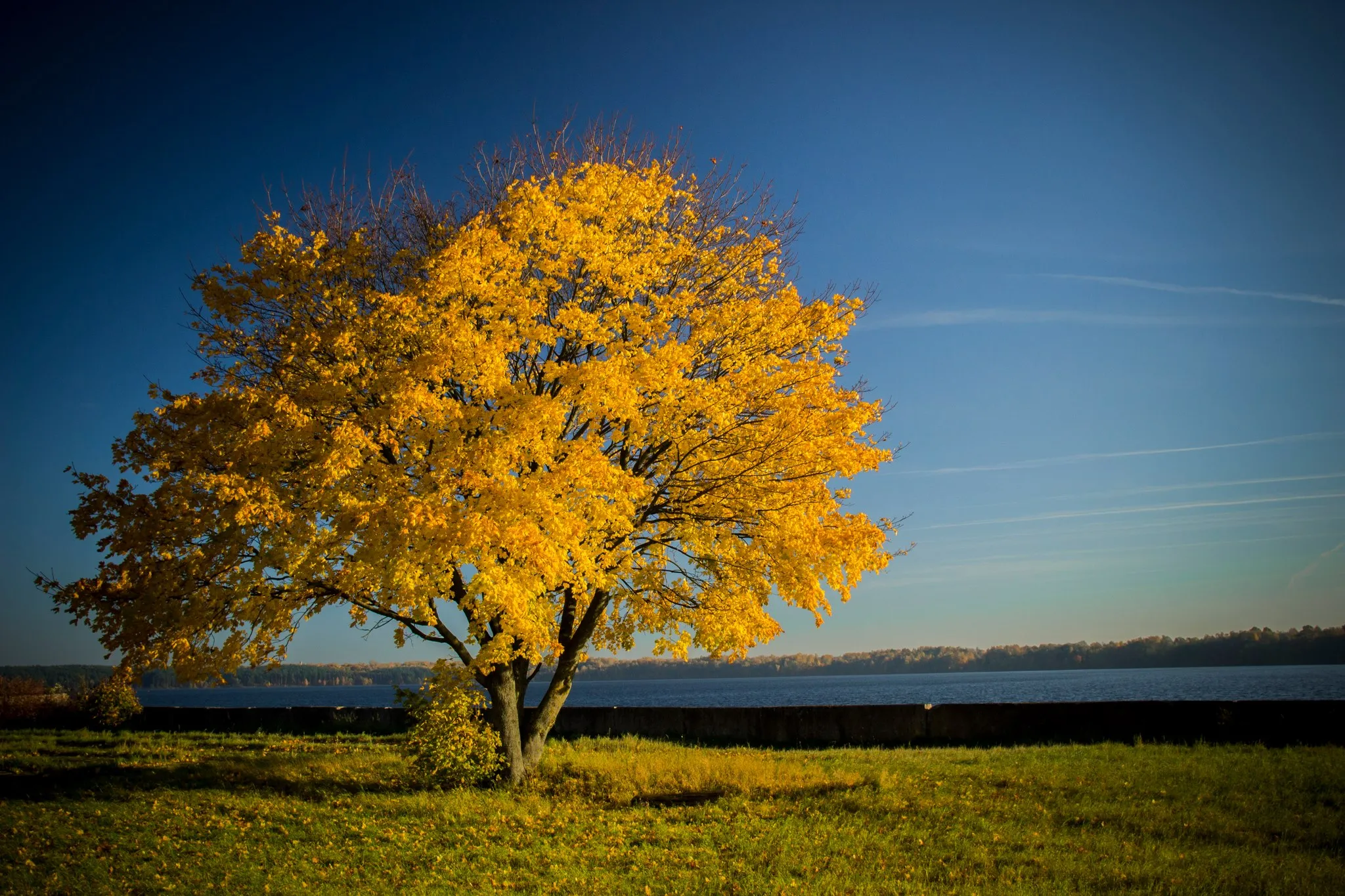 Rudenėjantis Kaunas 1