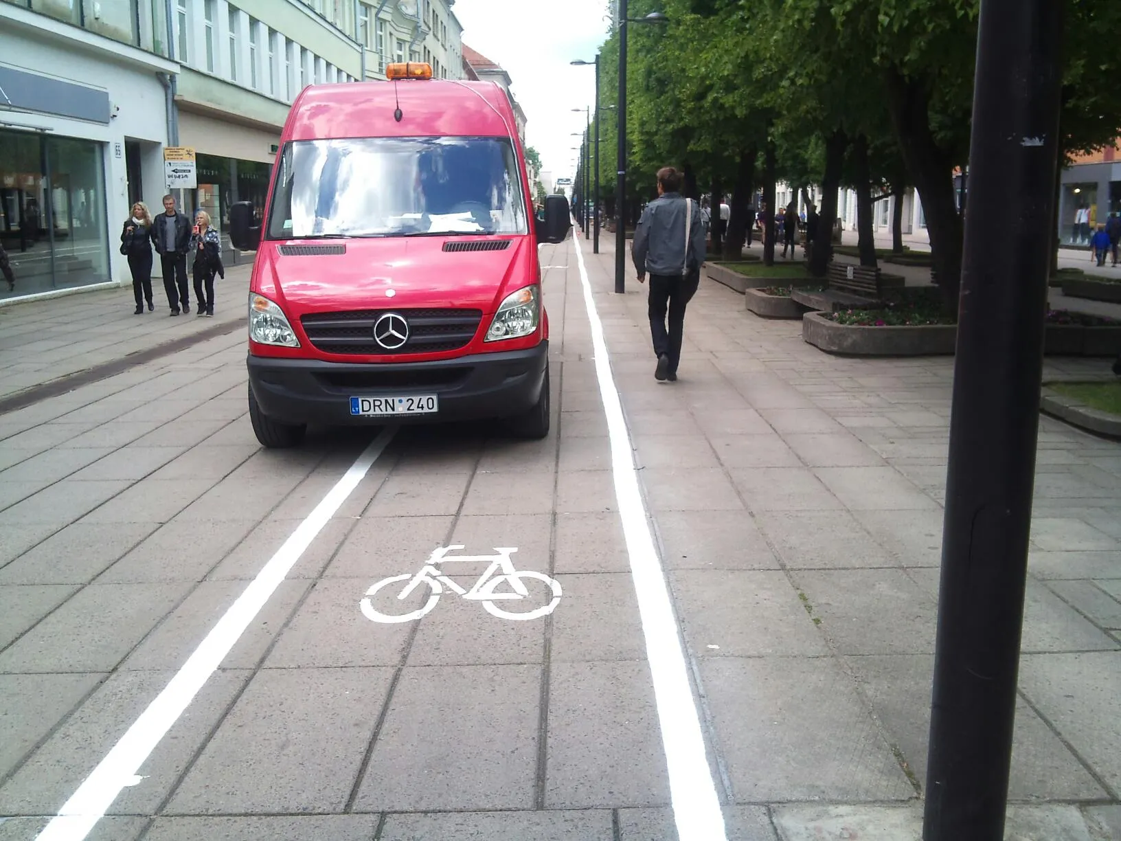 Dviračių takas Laisvės alėjoje