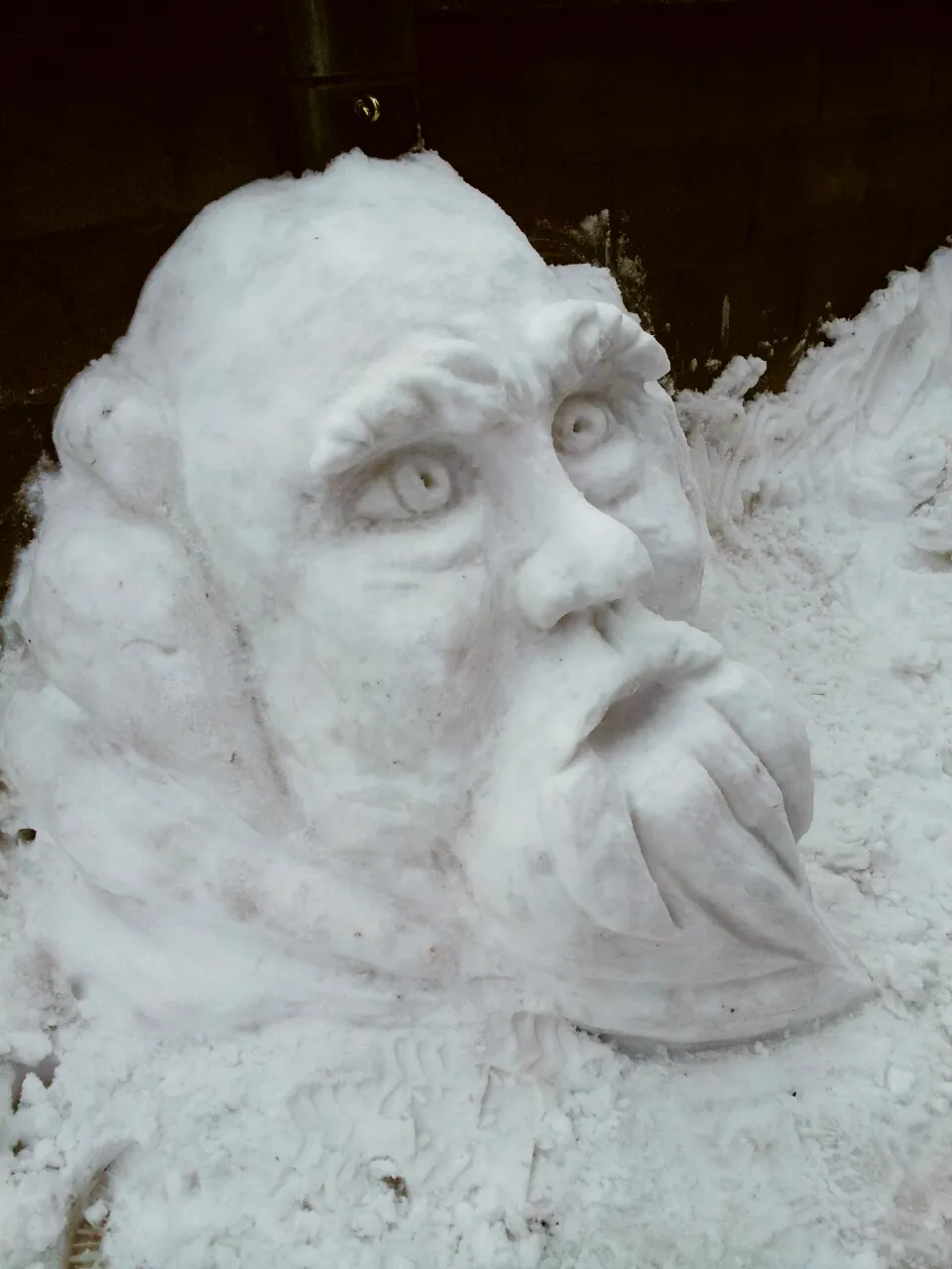 Sniego seniai, 2013-ieji