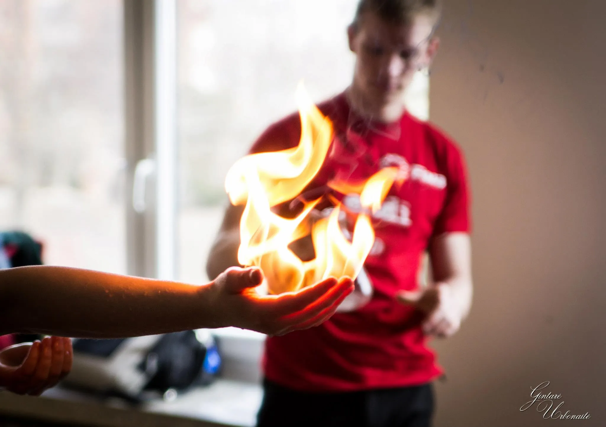 "Elektros dienos 2013"