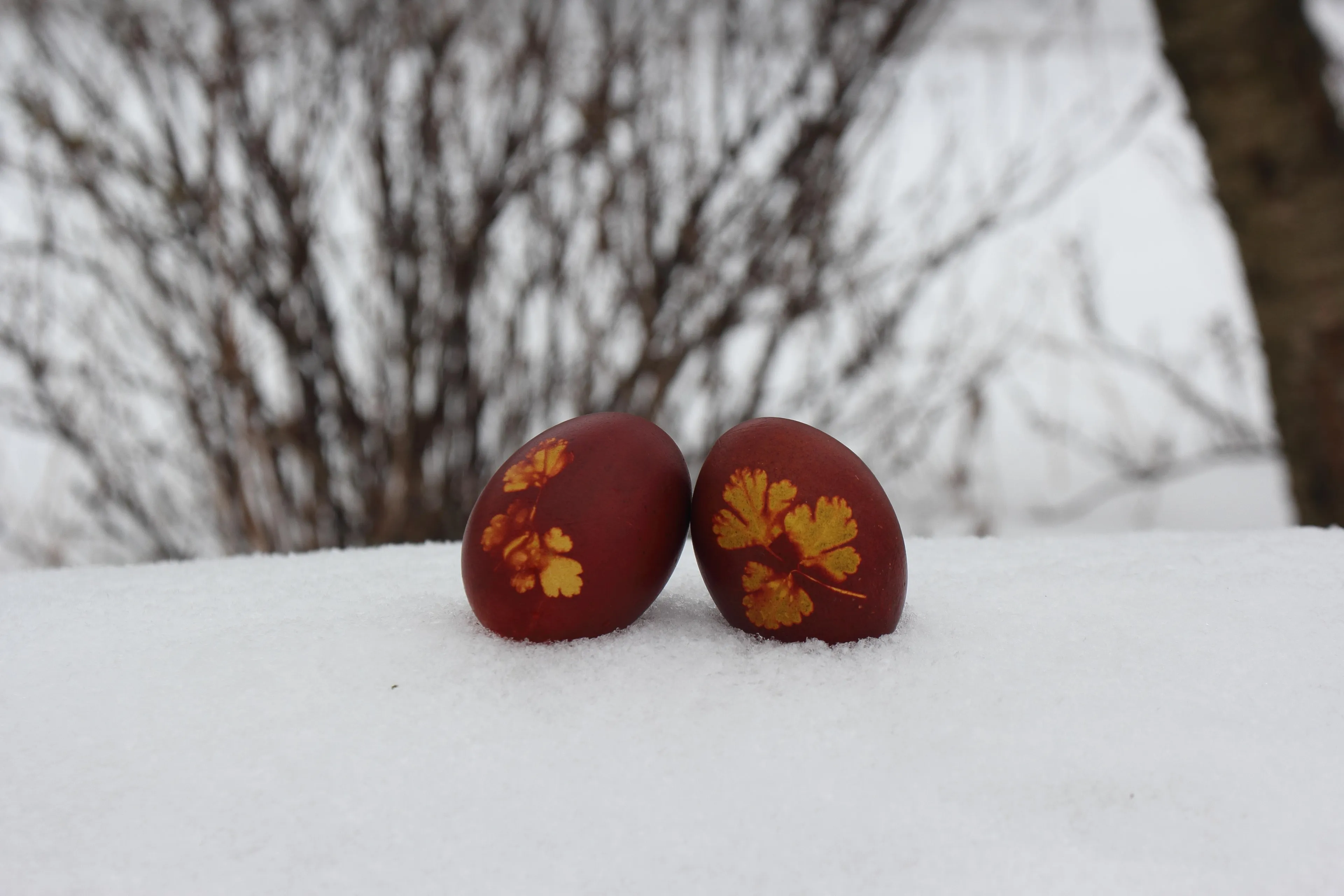 Pavasario belaukiant... III