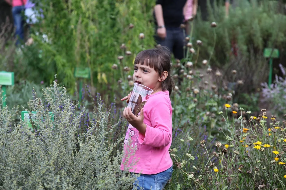 Žolinė Rumšiškėse 27