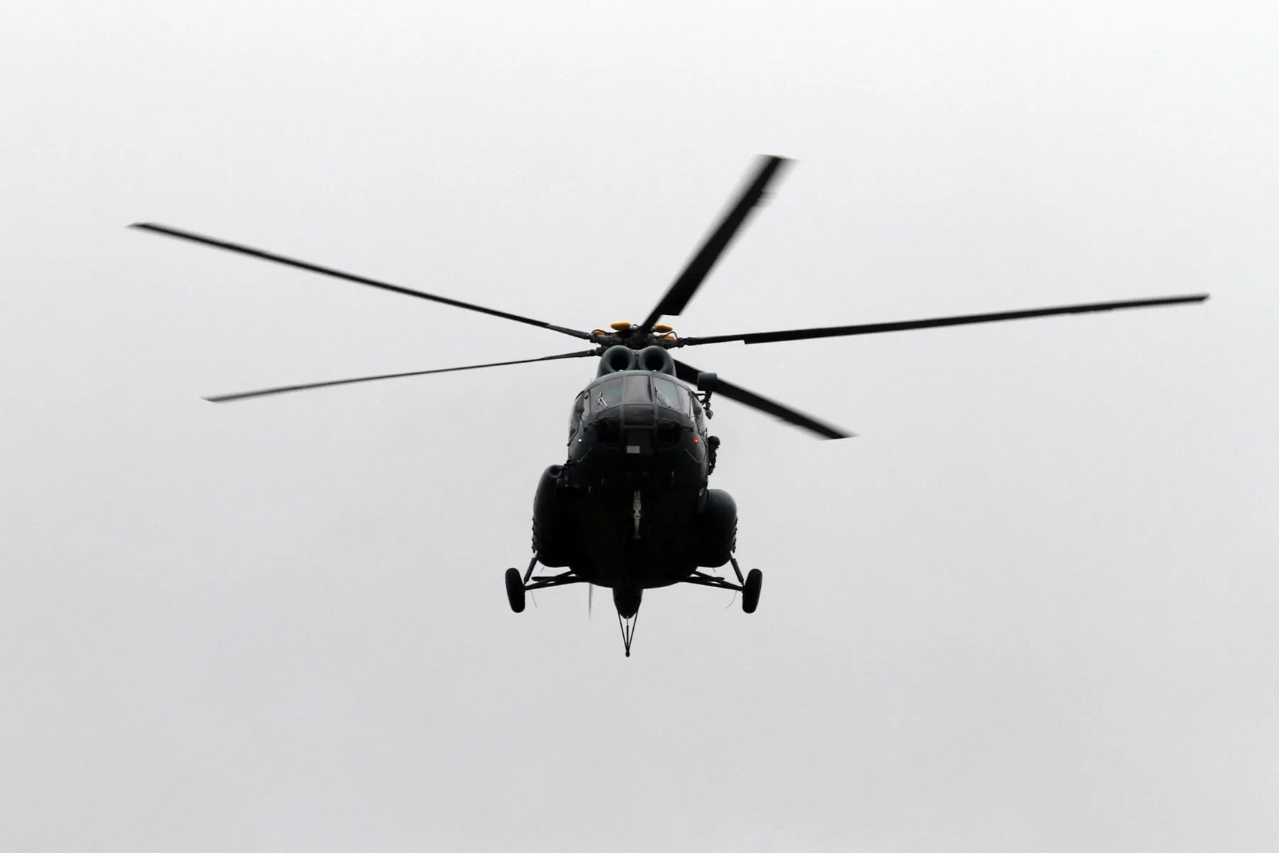 Sraigtasparniai Nemuno saloje