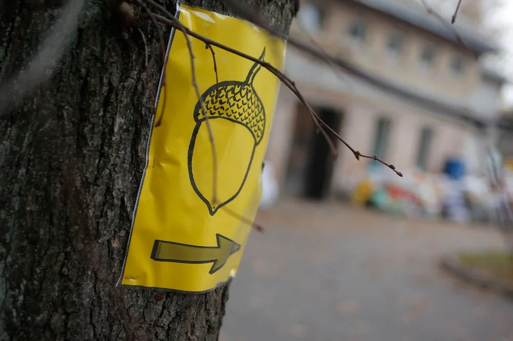 Gilių akcija Zoologijos sode05