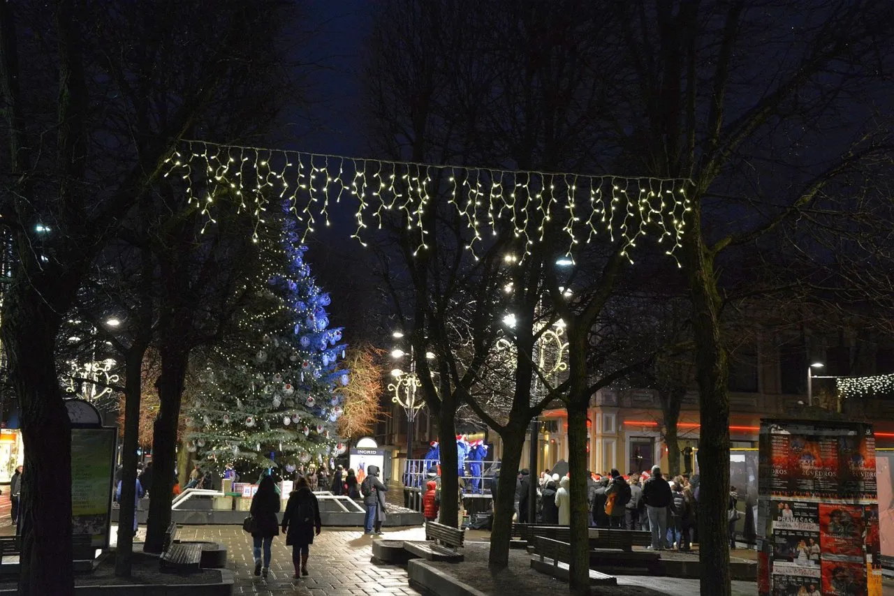 Studentiskos egles iziebimas 11