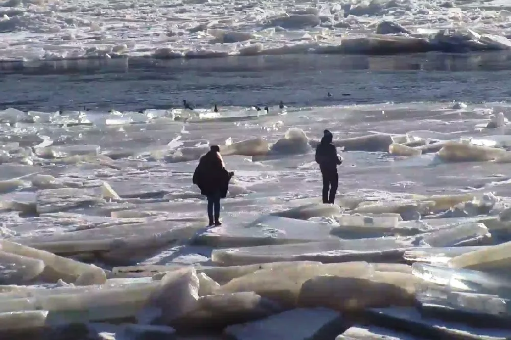 Lipti ant ledo pavojinga