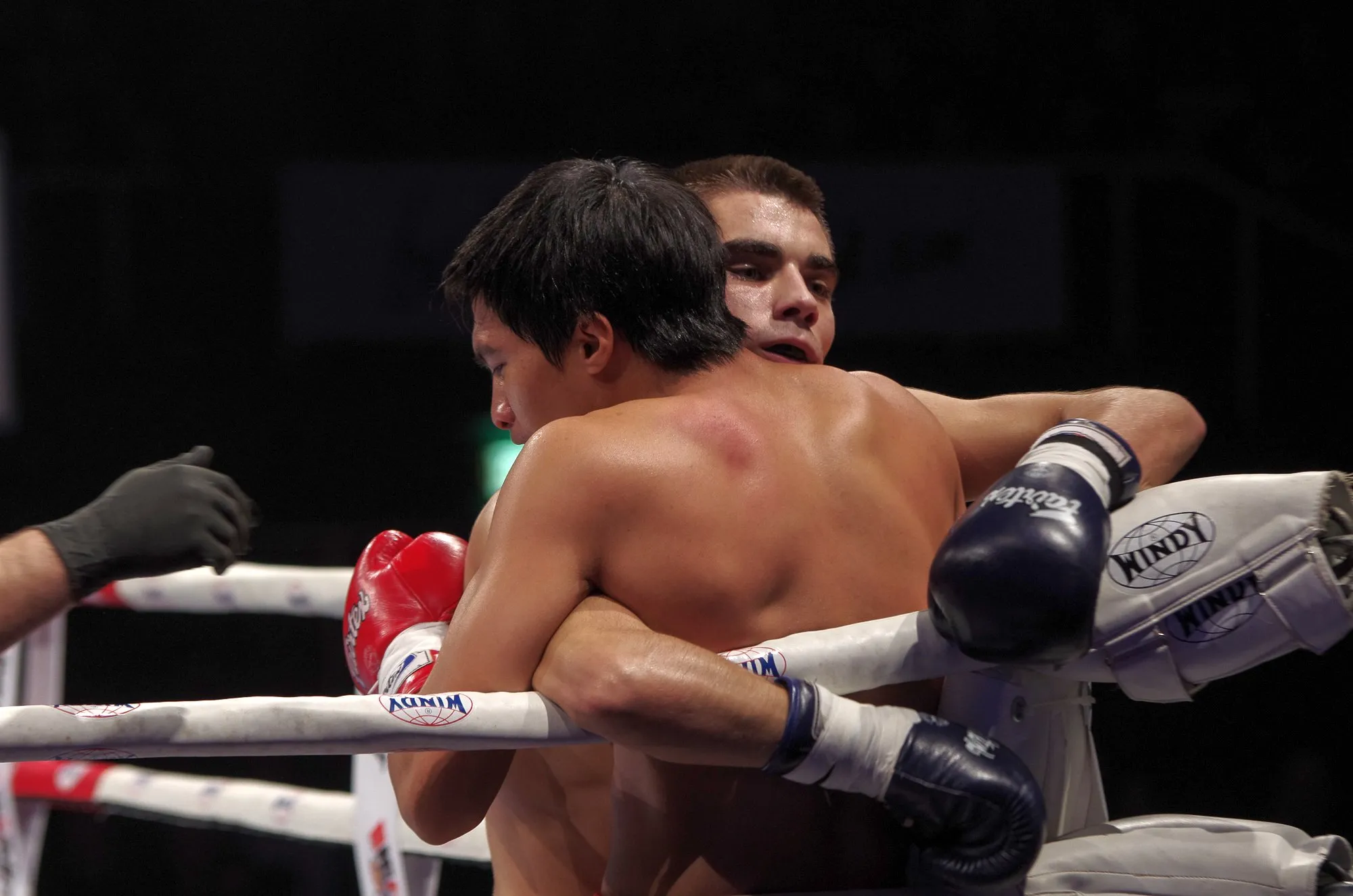 Muay Thai kovų akimirkos Kauno sporto halėje