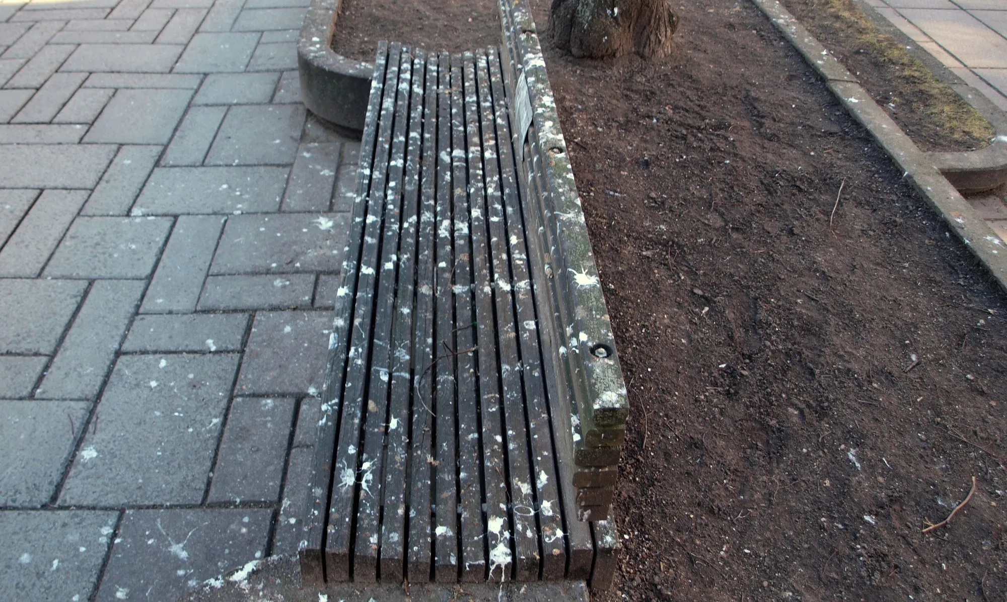 Apšnerkšta Laisvės alėja