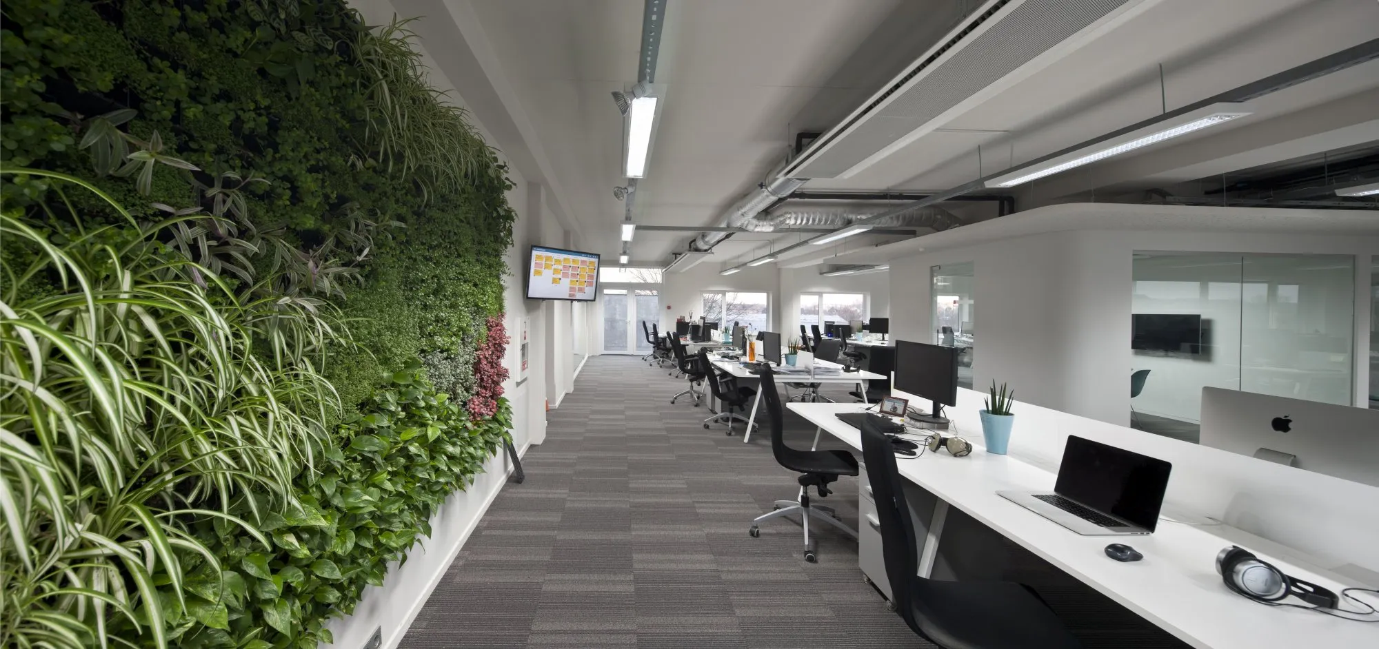 Naujas NFQ ofisas spindi jaukumu