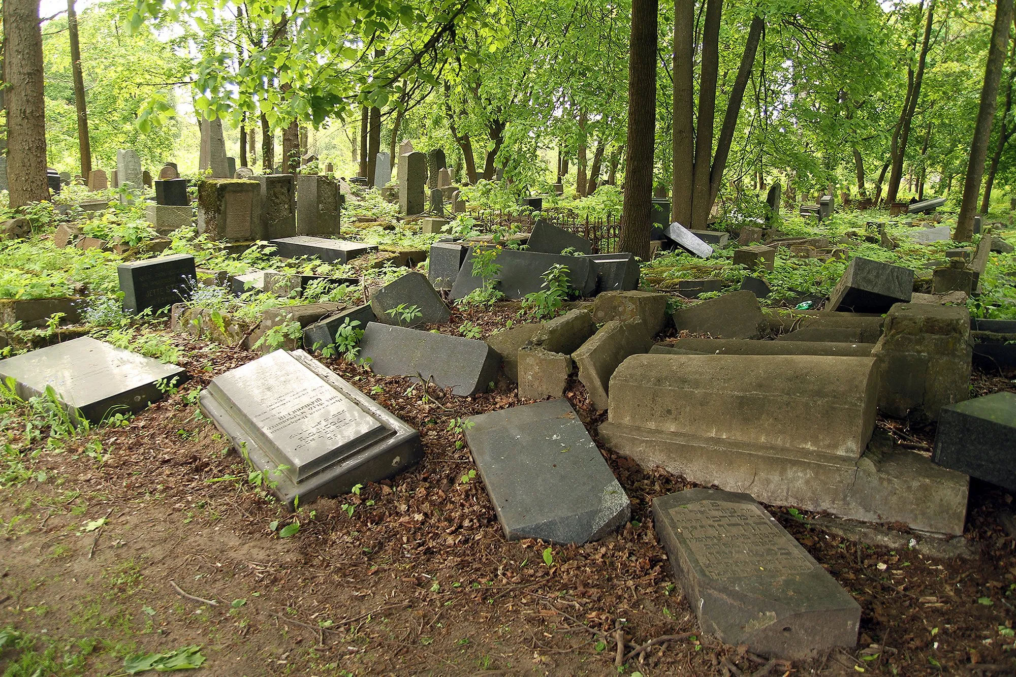 Senosios žydų kapinės 32