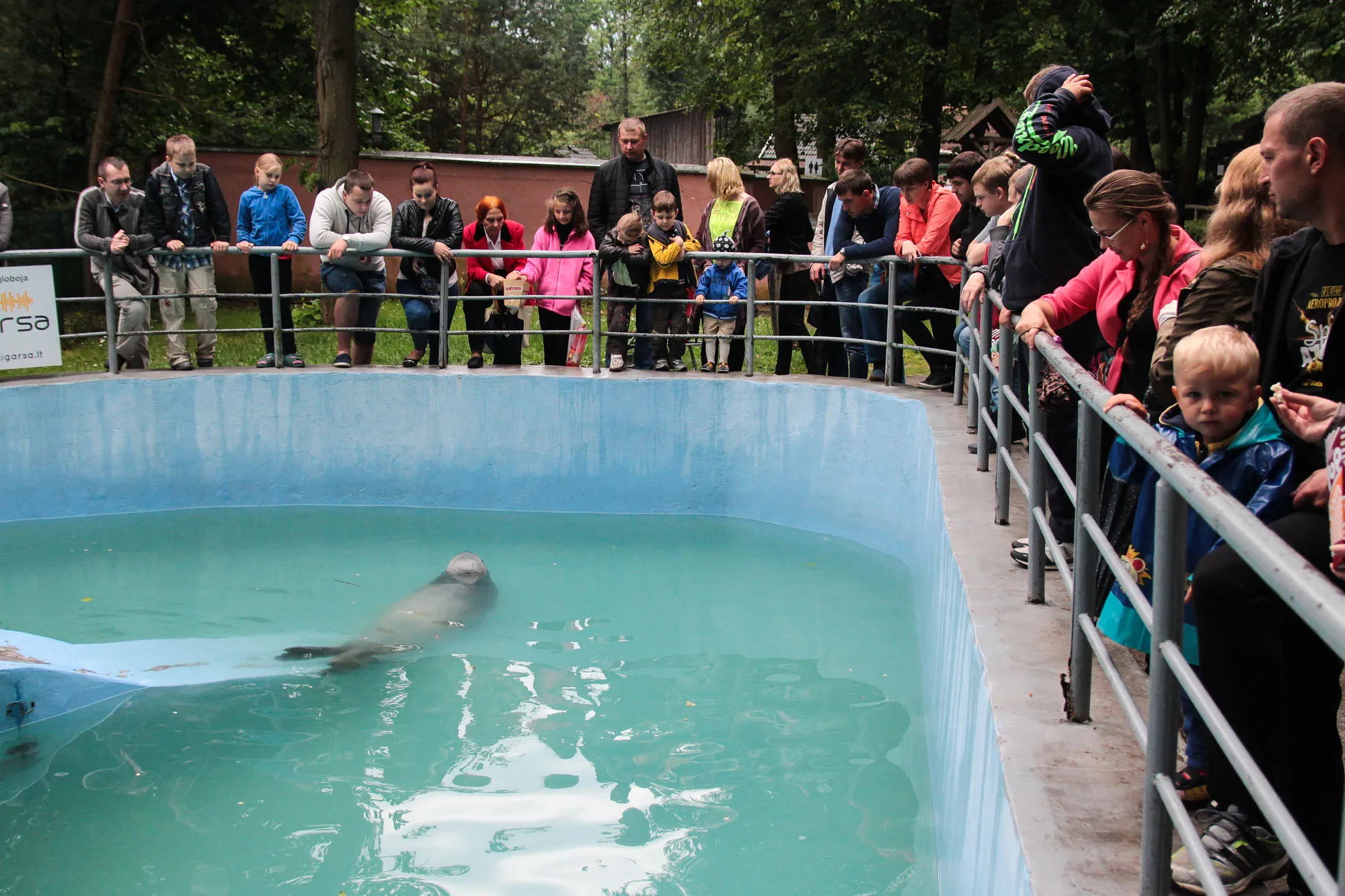 Zoologijos sodo gimtadienis