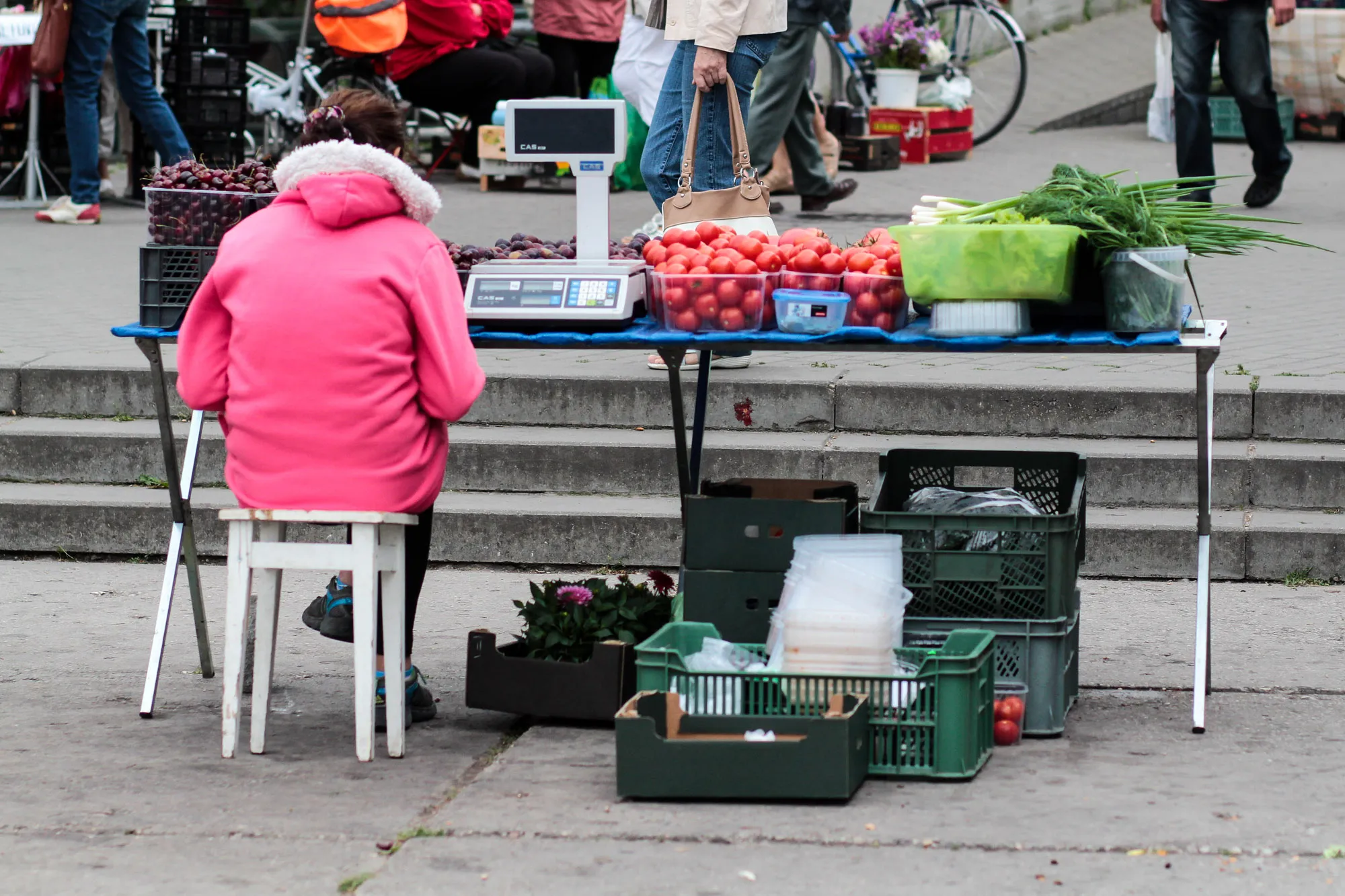 Vasaros gėrybės Kauno turguose