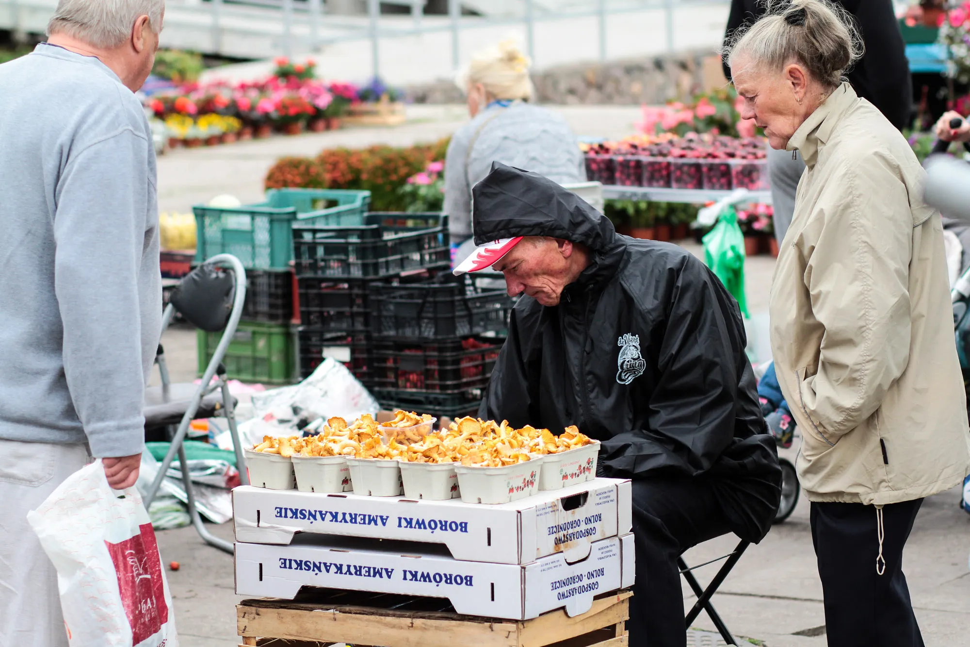 Vasaros gėrybės Kauno turguose