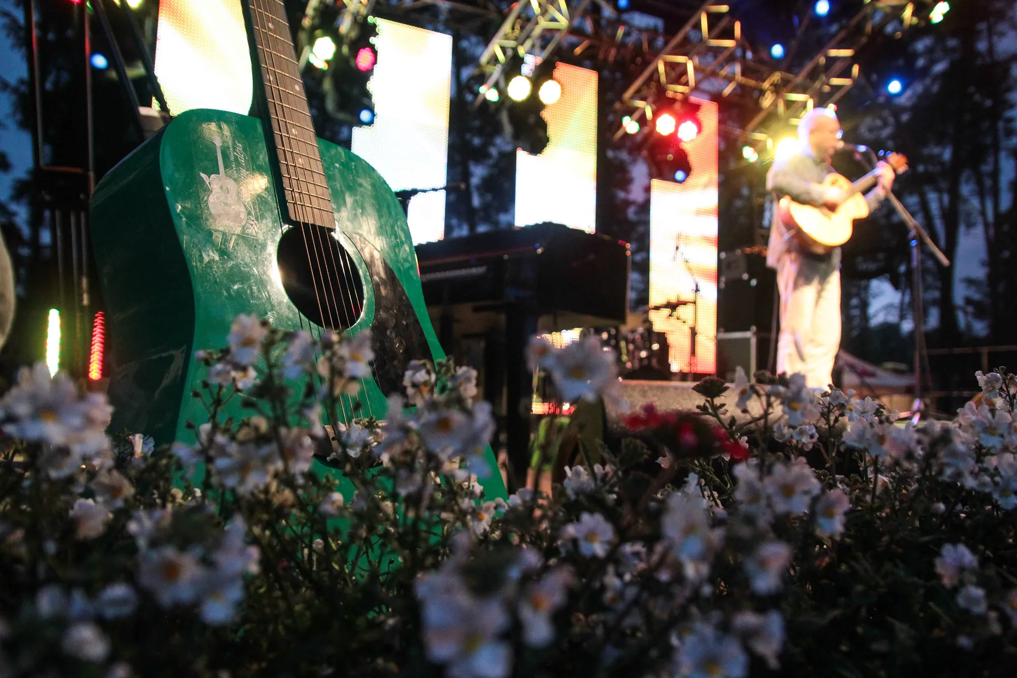 Akacijų alėja 2014