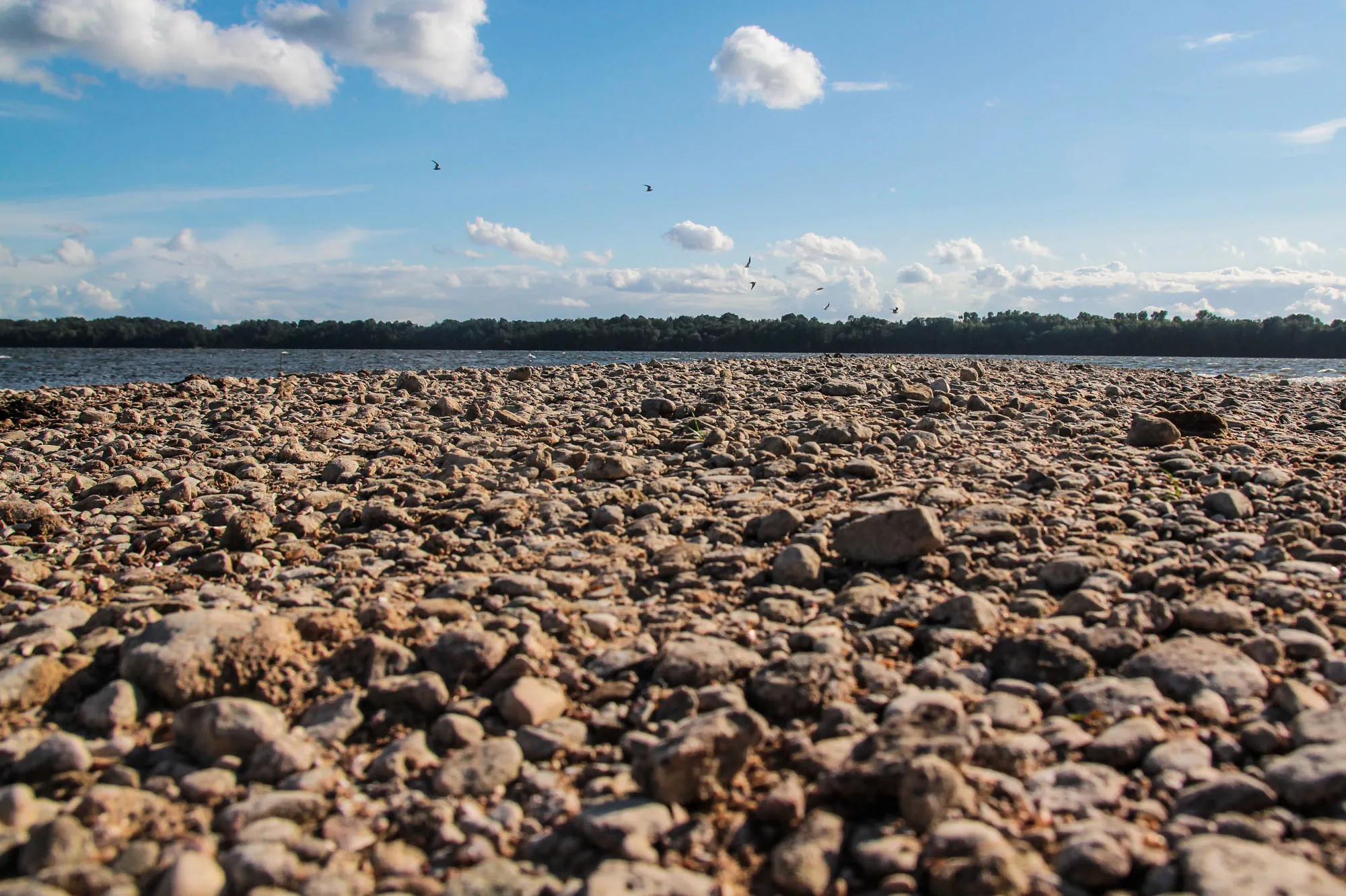 Nusekusios Kauno marios