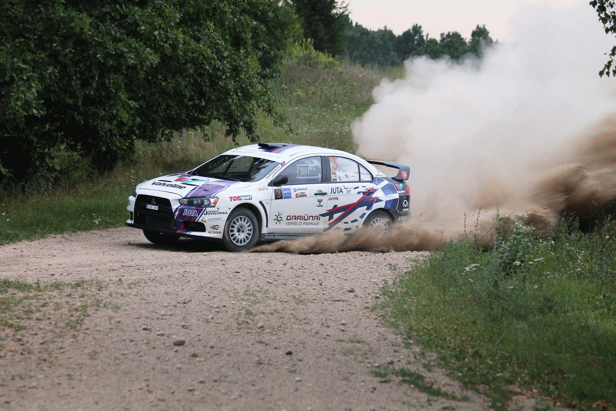 Vytauto Švedo pasirodymas ralyje baigėsi dėl gedimo